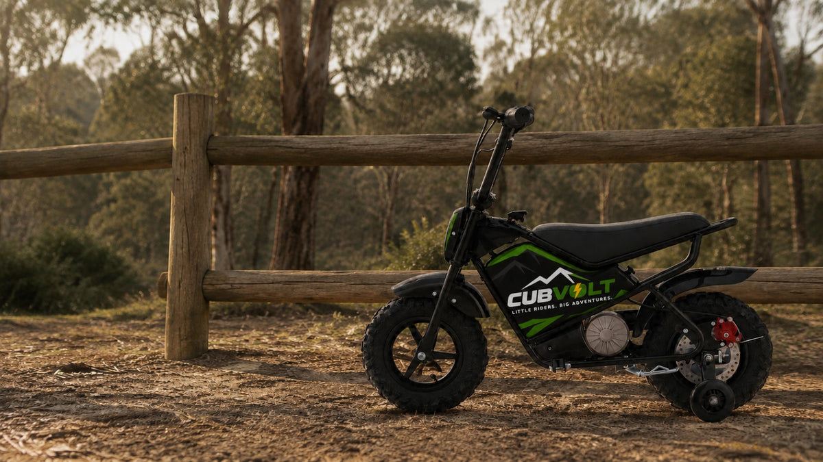 CubVolt One